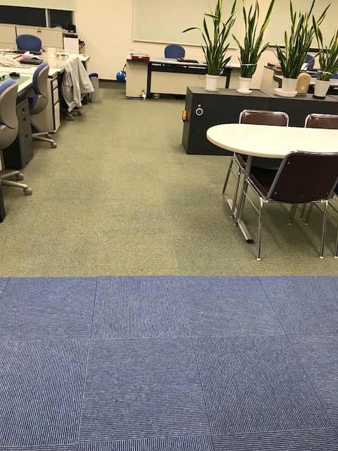 二色 - コピー.jpg