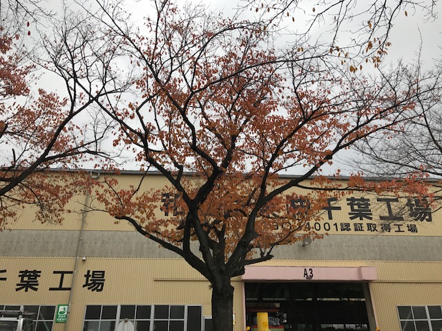 紅葉１.jpg