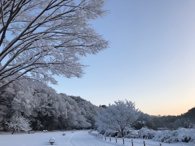 雪景色.jpg