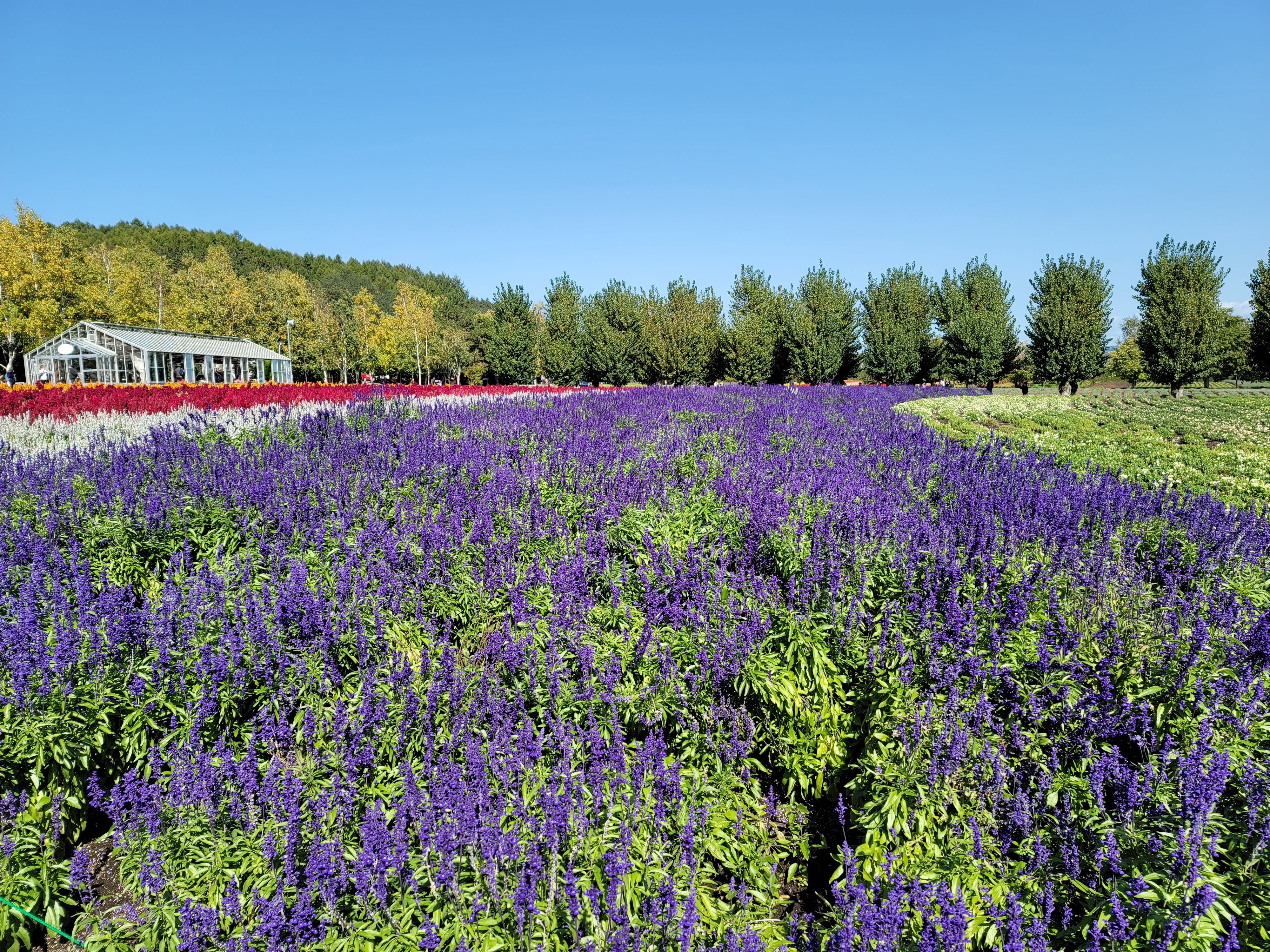 70周年記念　北海道旅行