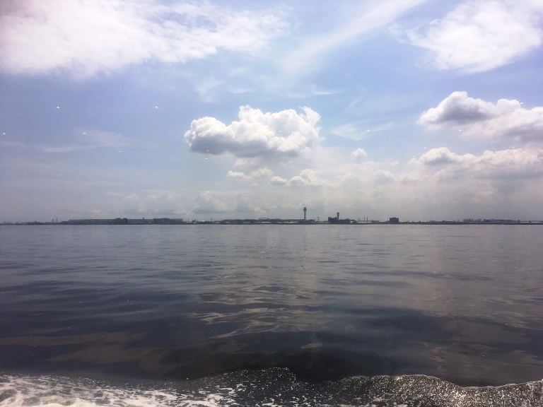 image33.jpg