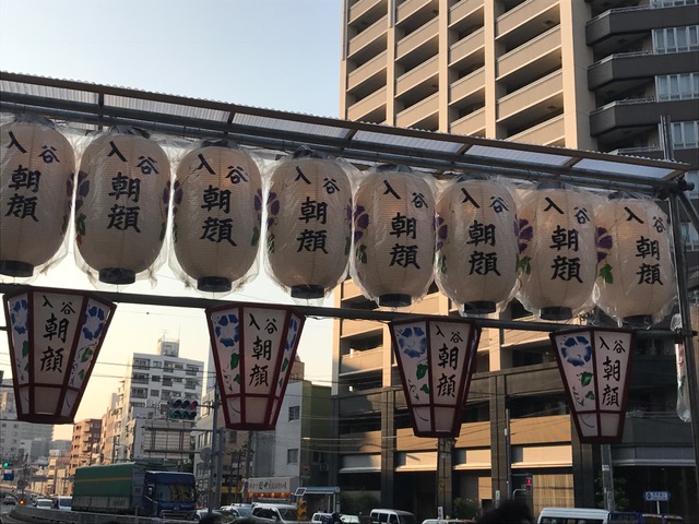 3社朝顔市・・・