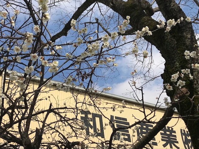 3月になって・・・