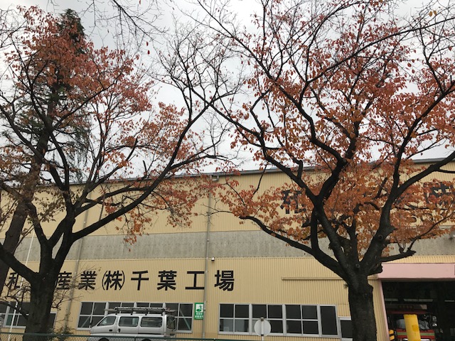 桜の紅葉・・・